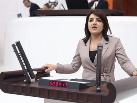 CHP’li Kış’tan iktidara çağrı: ‘Temmuz ayında ara zam artık zorunluluktur’