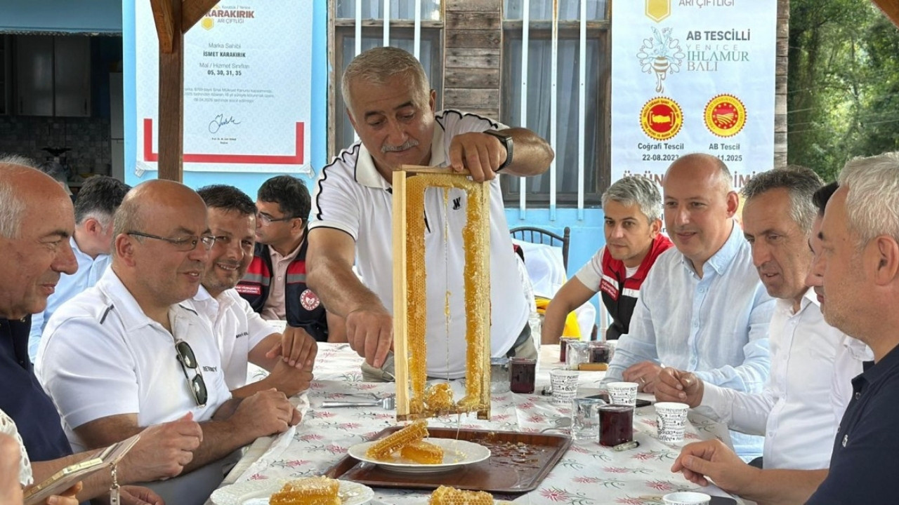 Haber gorseli